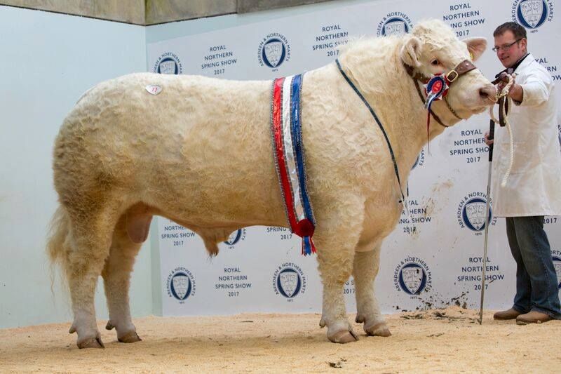 Royal Northern Spring Show