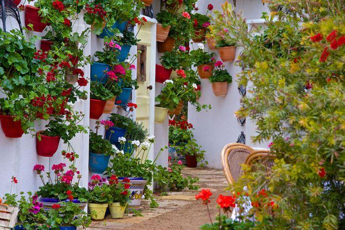 RHS Malvern Spring Festival