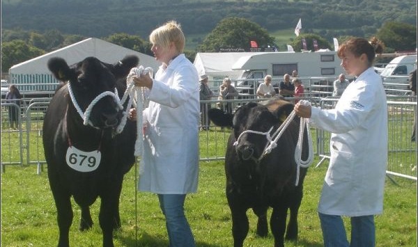 Okehampton Show