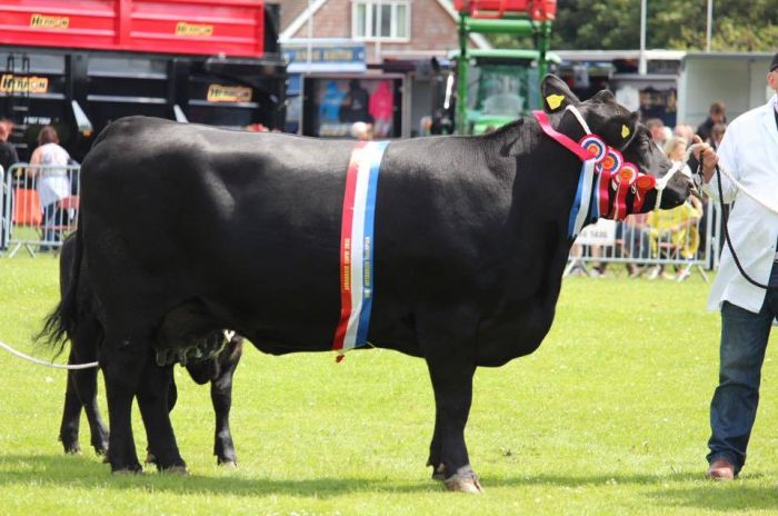 Stranraer Show