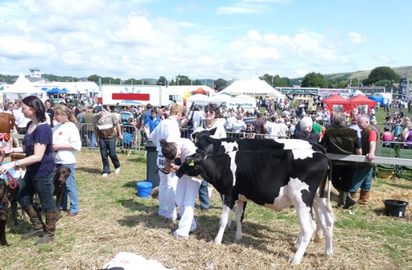 Cartmel Show