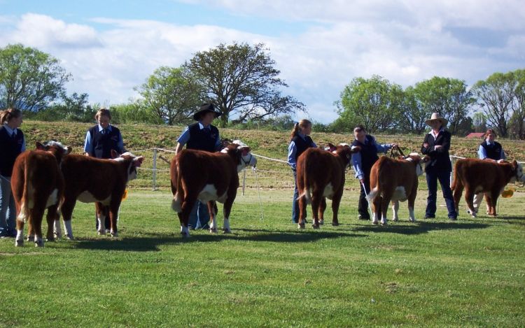 Launceston Agricultural Show