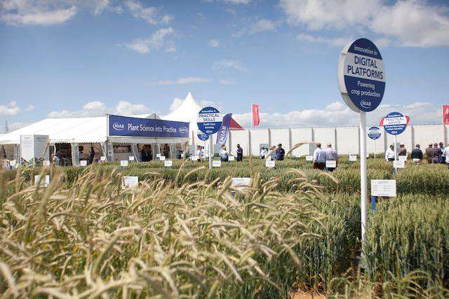 Cereals - The Arable Event