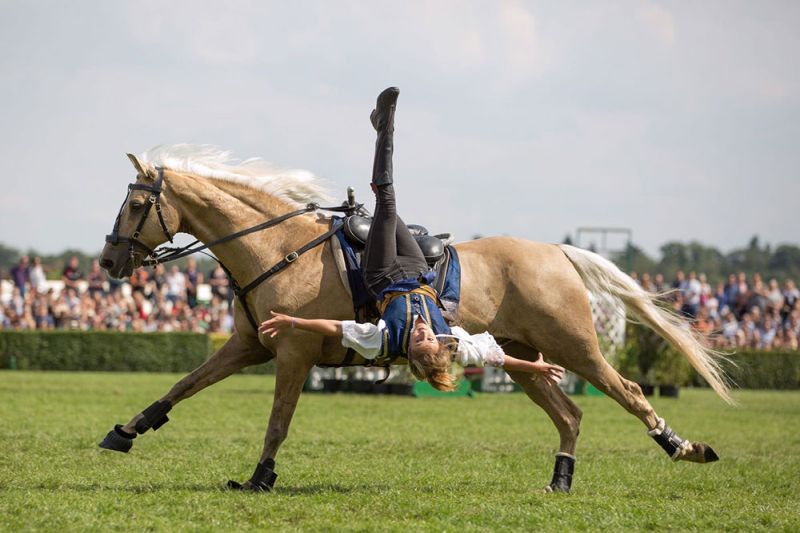 South of England Show