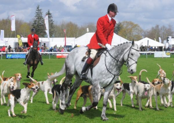 East Anglian Game & Country Fair