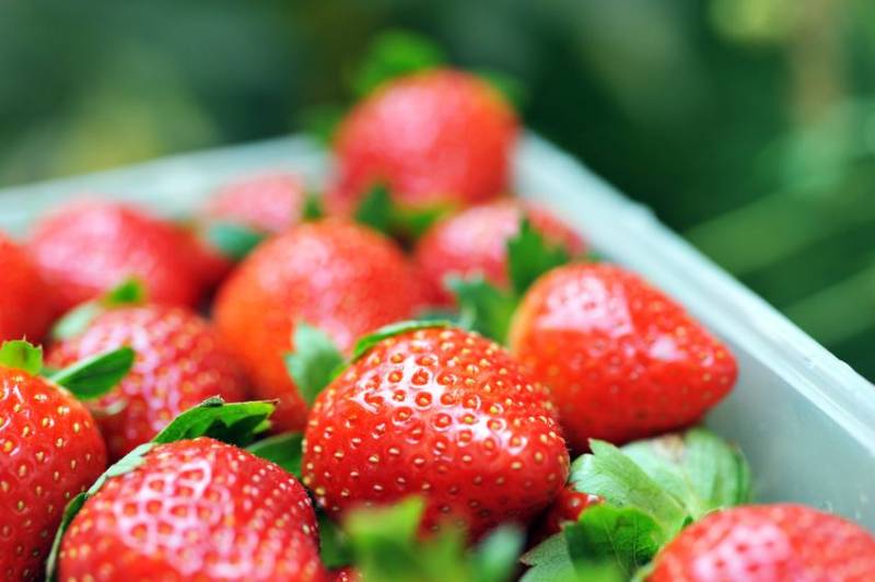 Future Food Tech
