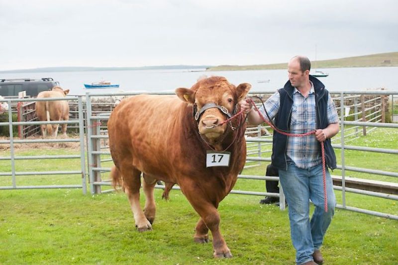 Shapinsay Agricultural Show