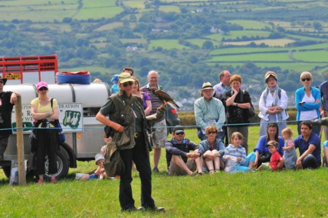 Nevern Show