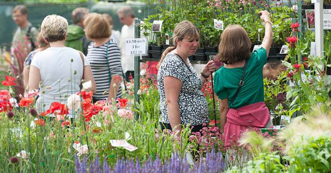 Newbury Garden Show