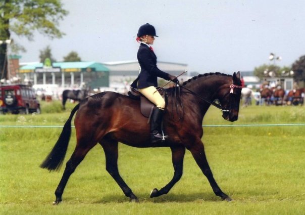 Stokesley Show