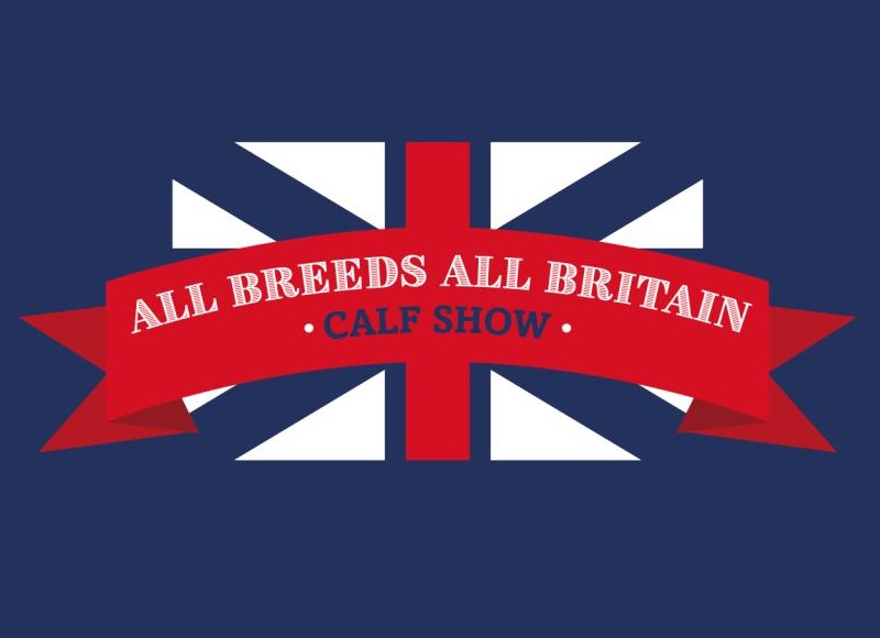 All Breeds All Britain Calf Show