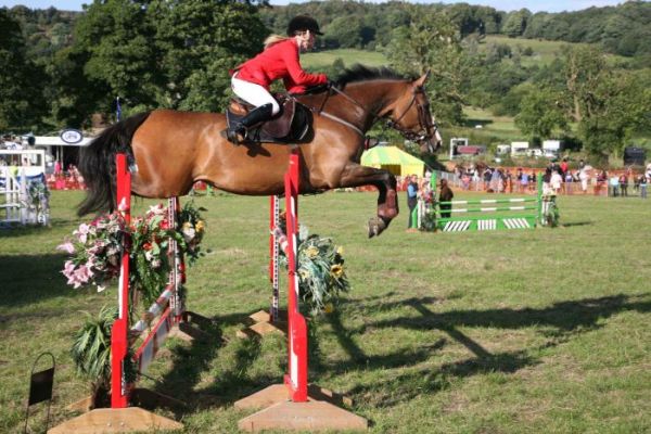 Ashover Show