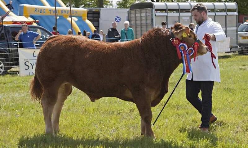 Lesmahagow Show
