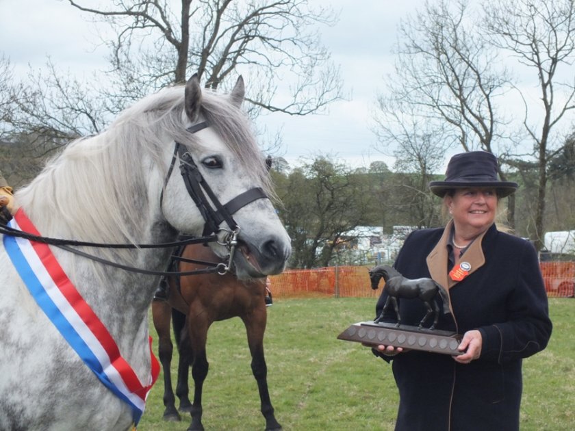 Neilston Show