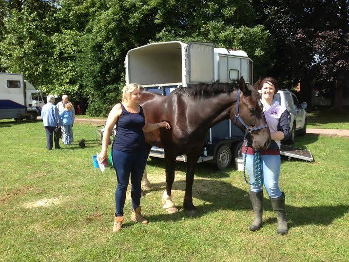 South of Wales Shire Horse Show
