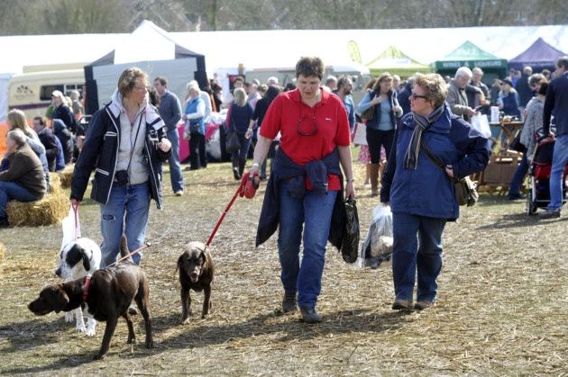 Framlingham Country Show