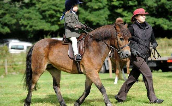 Millom and Broughton Show