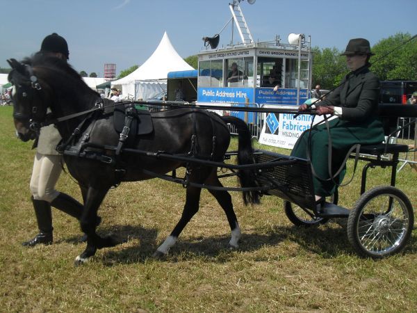 Caerwys Agricultural Show