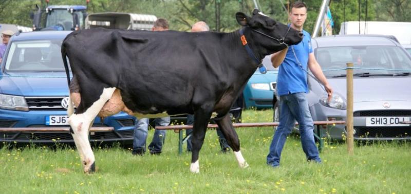 Newmilns Show