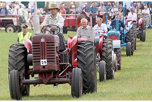 Honiton Show