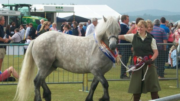 Sutherland Show