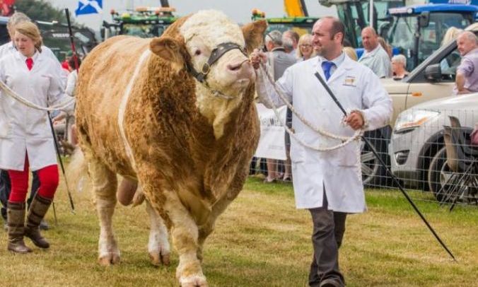 Nairn Show