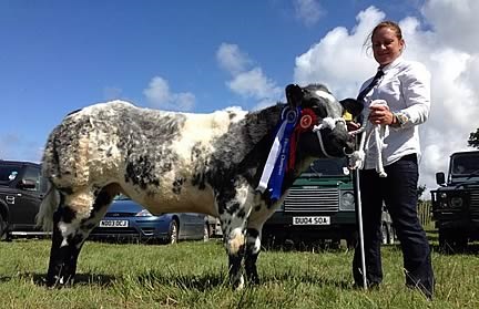 Woolsery & District Agricultural Show