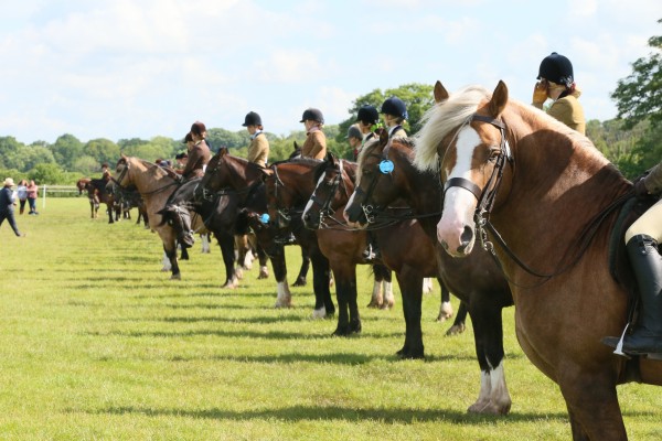 Vale of Glamorgan Show