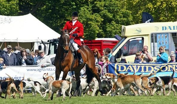 Fife Show
