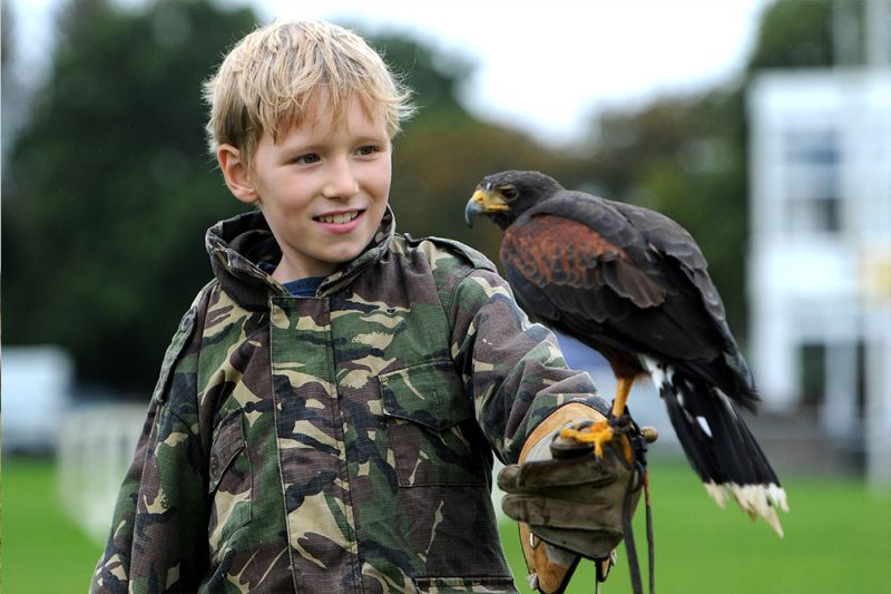 South of England Autumn Show