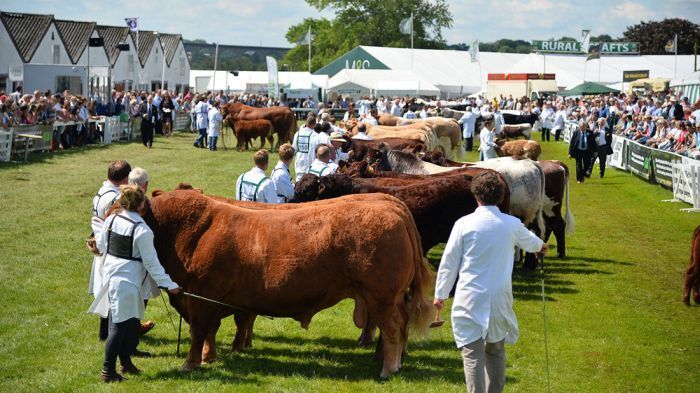 Great Yorkshire Show