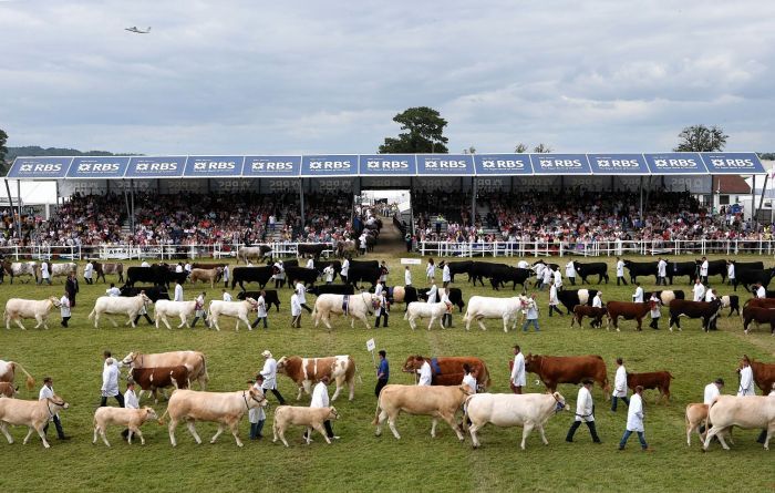 Royal Highland Show