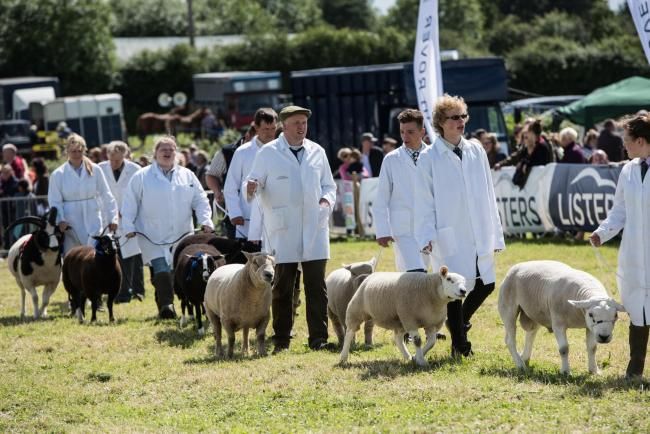 Hanbury Countryside Show