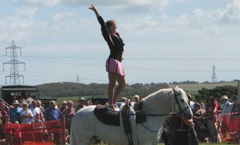 Camelford Show