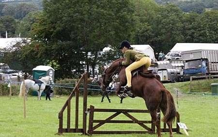 Llanrwst Show