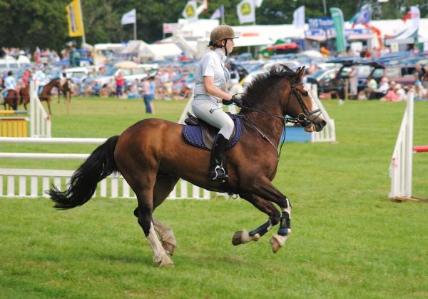 Yealmpton Show