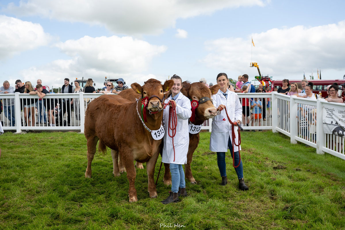 Anglesey Show