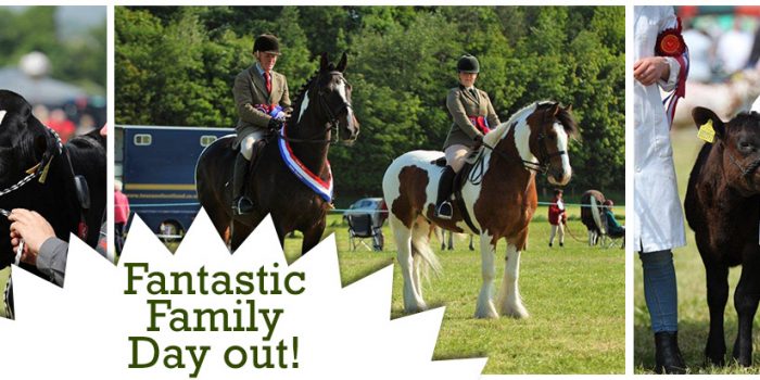 Campsie Show
