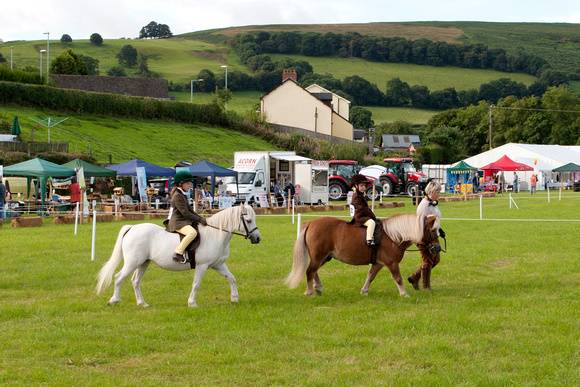 Sennybridge Show