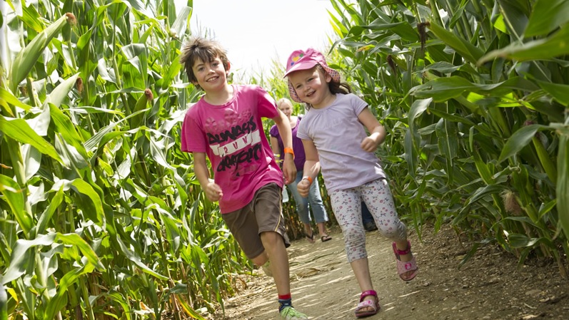 The Milton Maize Maze