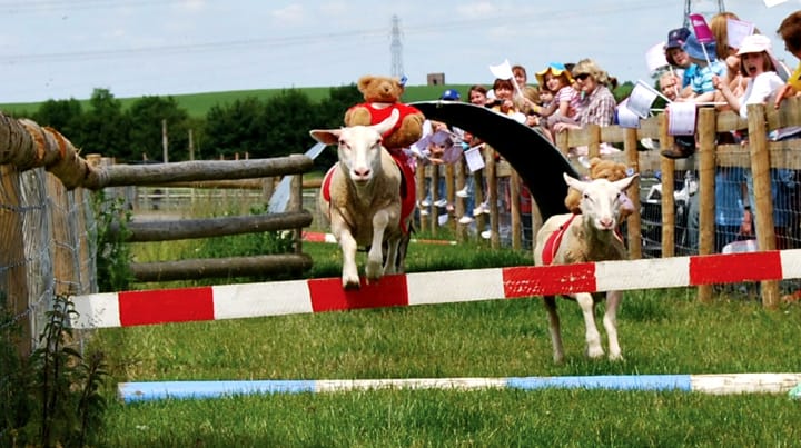 Mead Open Farm