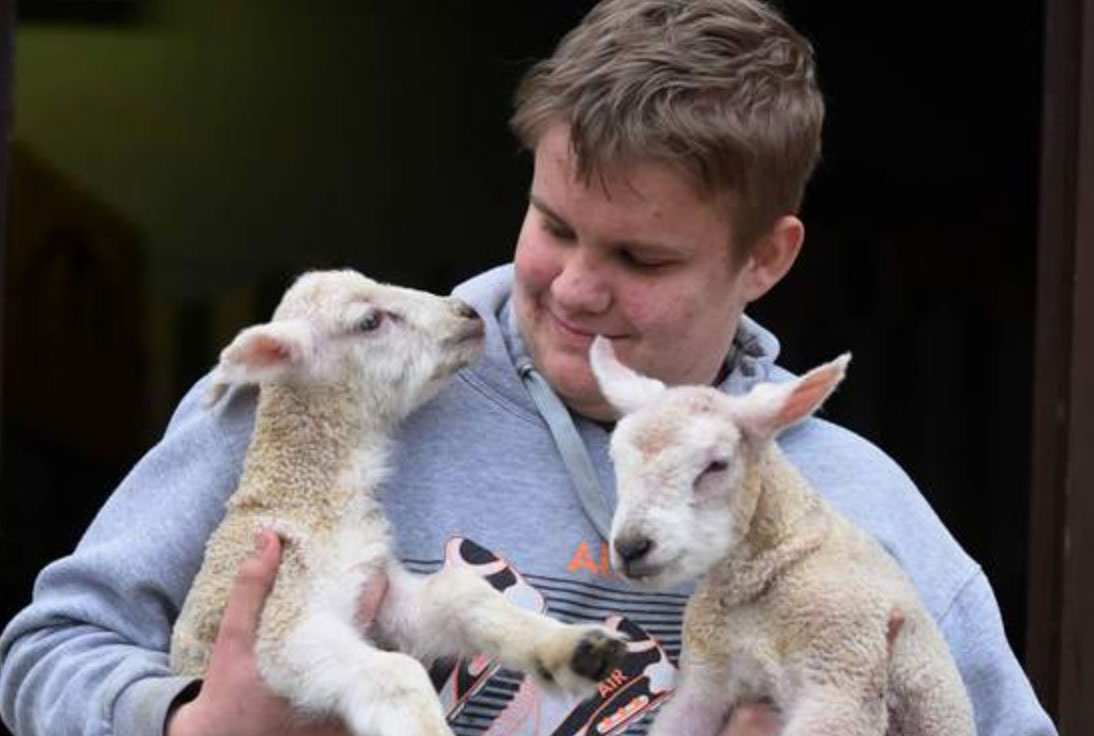 St James City Farm