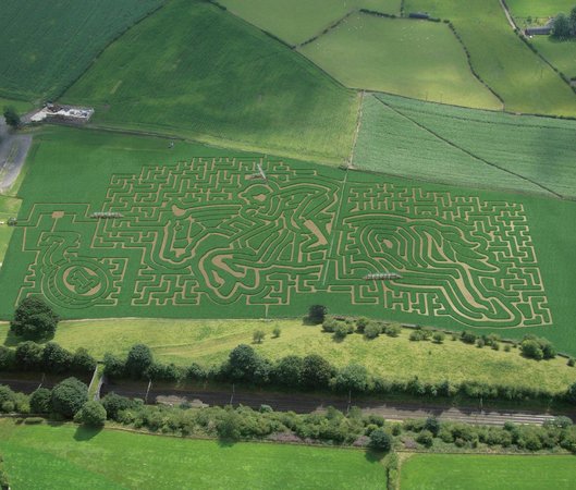 Lakeland Maze Farm Park