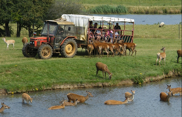 Snettisham Park