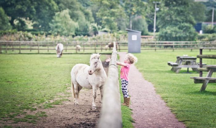 Cefn Malby Farm Park