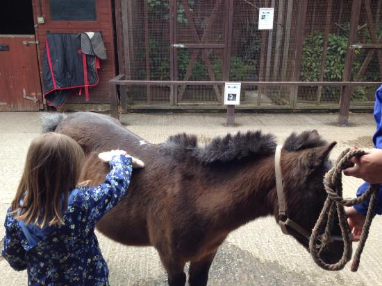 Stockley Farm Park