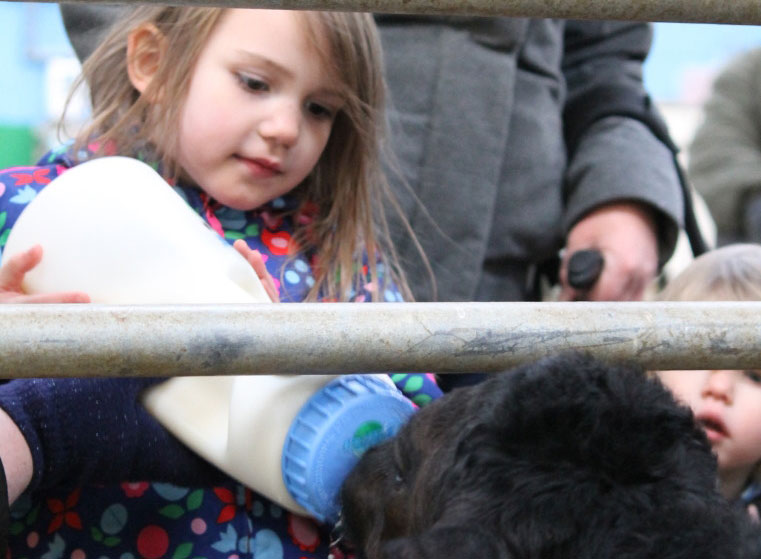 Monk Park Farm Visitor Centre