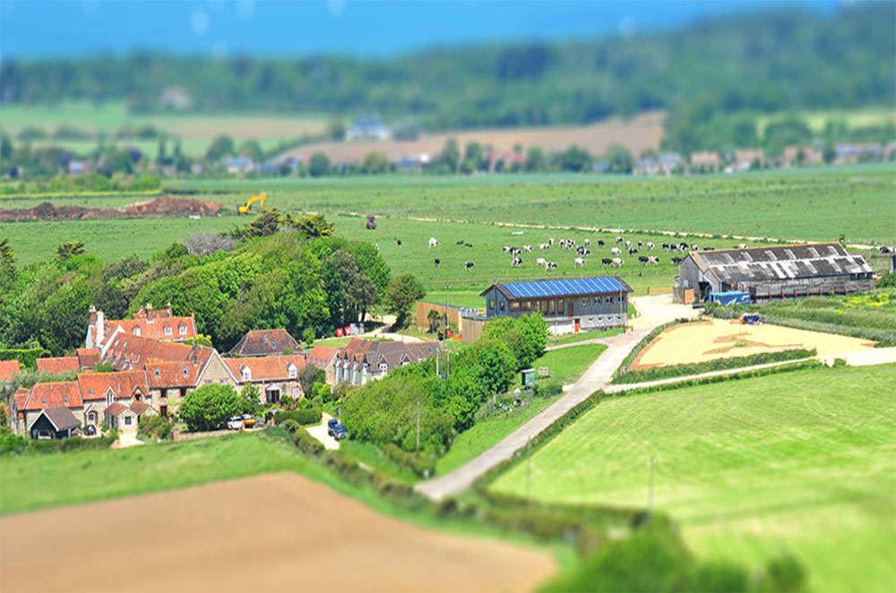 Tapnell Farm Park