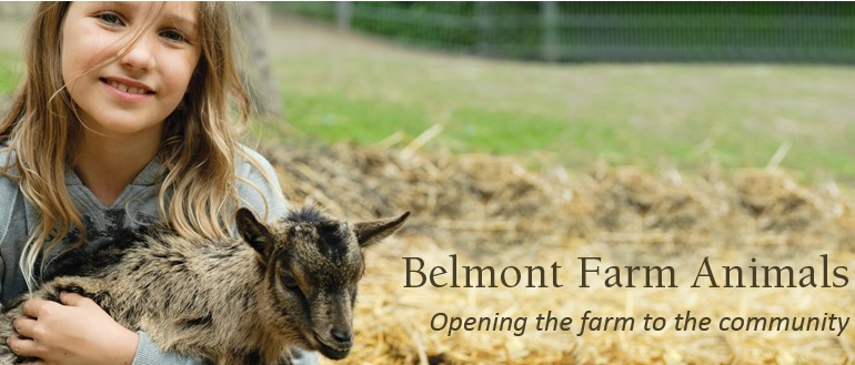 Belmont Farm