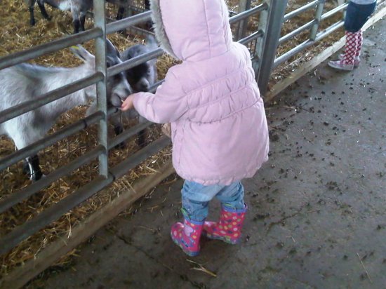 Playdale Farm Park